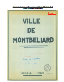 Cartographie des zones inondées par la crue du 23 avril 1970 à Montbéliard