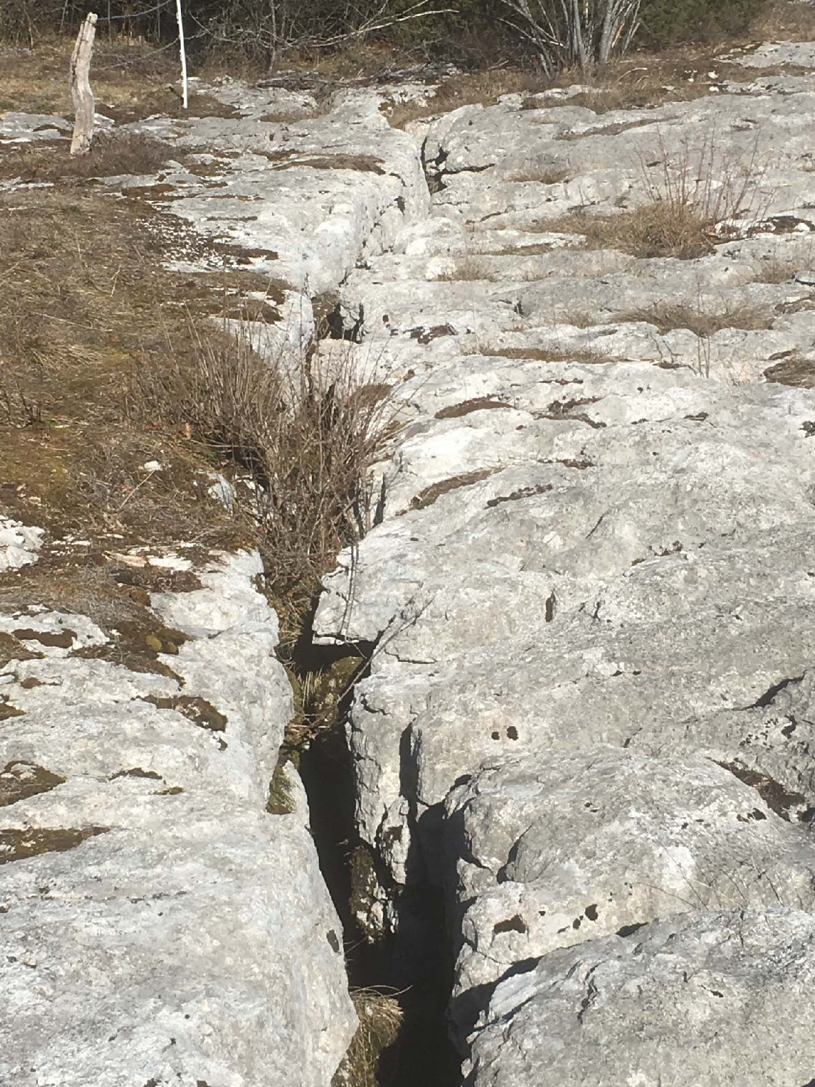 Fissure d'une roche ou d'un terrain sans déplacement des deux blocs.

Photo prise sur le lapiaz de Loulle  (V. Fister)