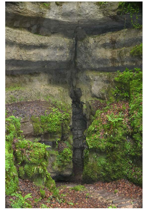 Fissure d'une roche ou d'un terrain sans déplacement des deux blocs.

Photo prise sur le sentier karstique de Mérey-sous-Montrond (V. Fister)