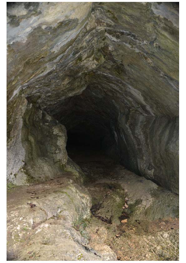 Conduit pénétrable dont le développement est essentiellement horizontal.

Photo prise dans la grotte des Faux-Monnayeurs (V. Fister)