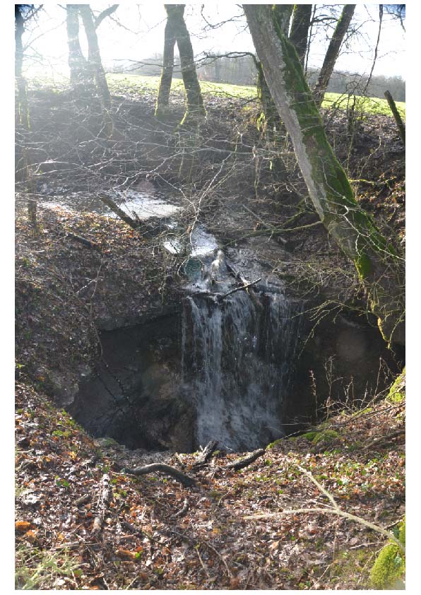 Ouverture par laquelle une partie ou la totalité des écoulements d’un cours d’eau devient souterrain.

Photo prise au gouffre de la Baraque de Violons (V. Fister)