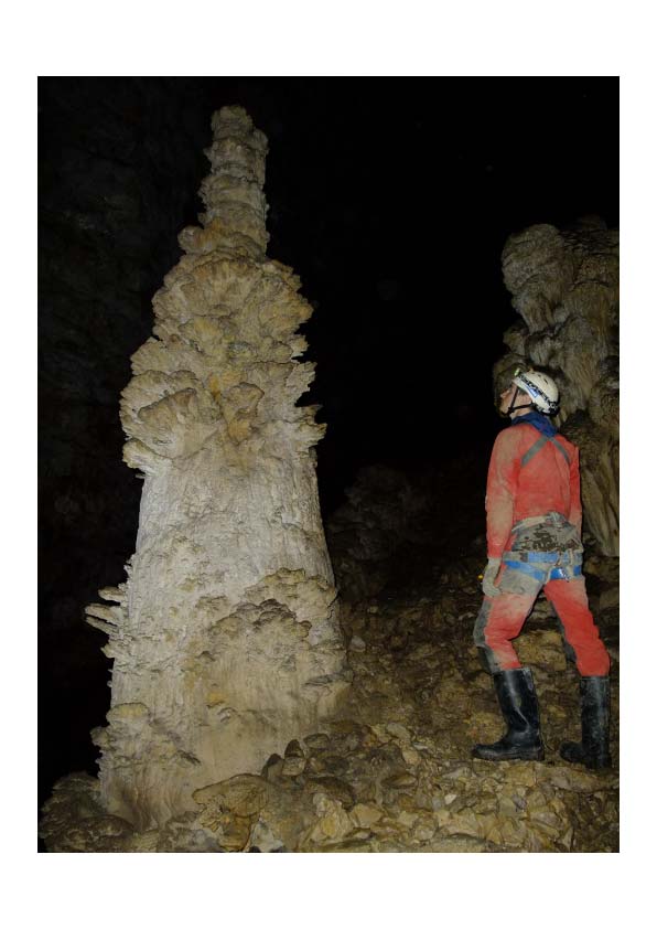 Concrétion essentiellement composée de calcite qui se construit sur le plancher des grottes.

Photo prise dans le gouffre de la Baume des Crêtes (B. Losson)