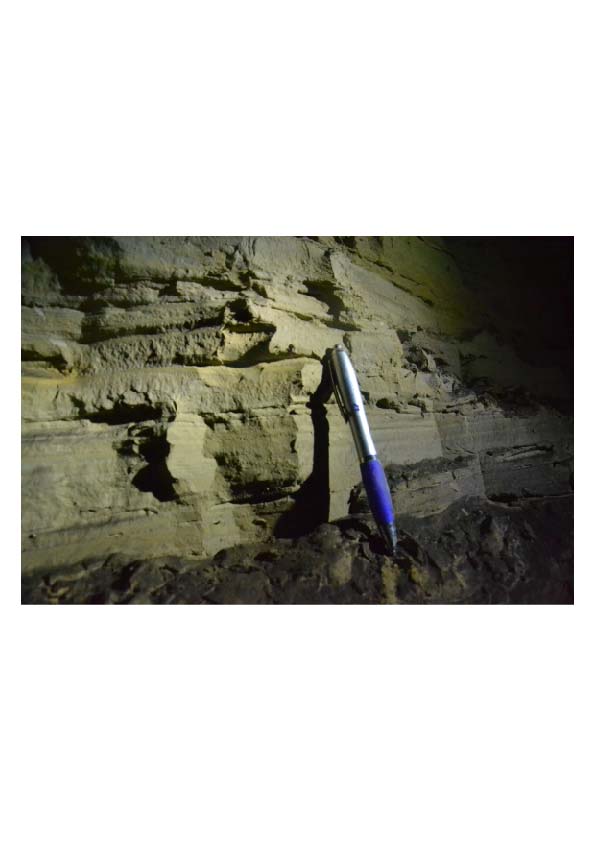 Ici ce sont des dépôts finement lités mis en place dans le karst par une sédimentation calme de type lacustre.

Photo prise dans la Grotte des Cavottes (V. Fister)