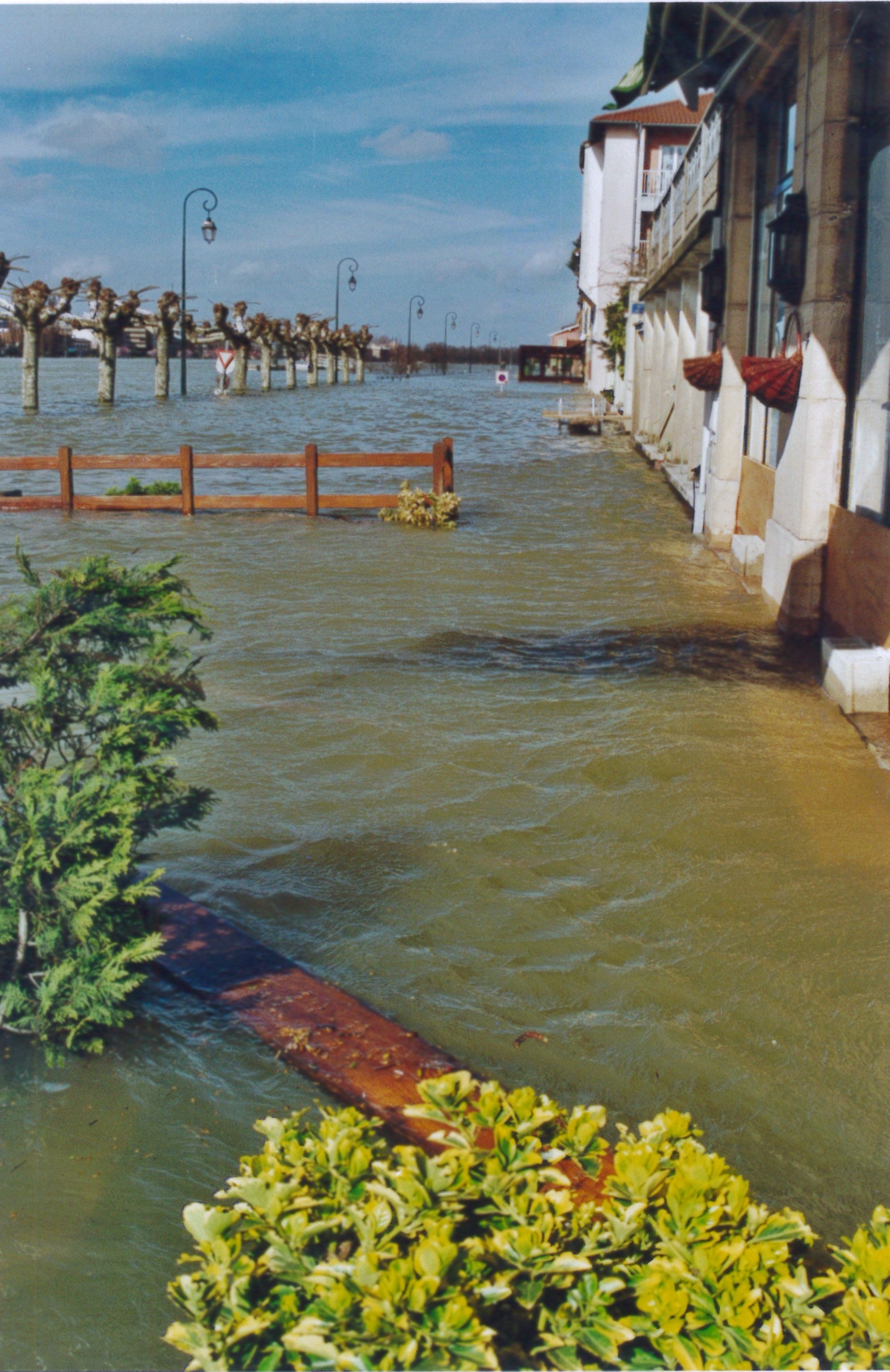 Crue de la Saône en 2001 à St Laurent-sur-Saône