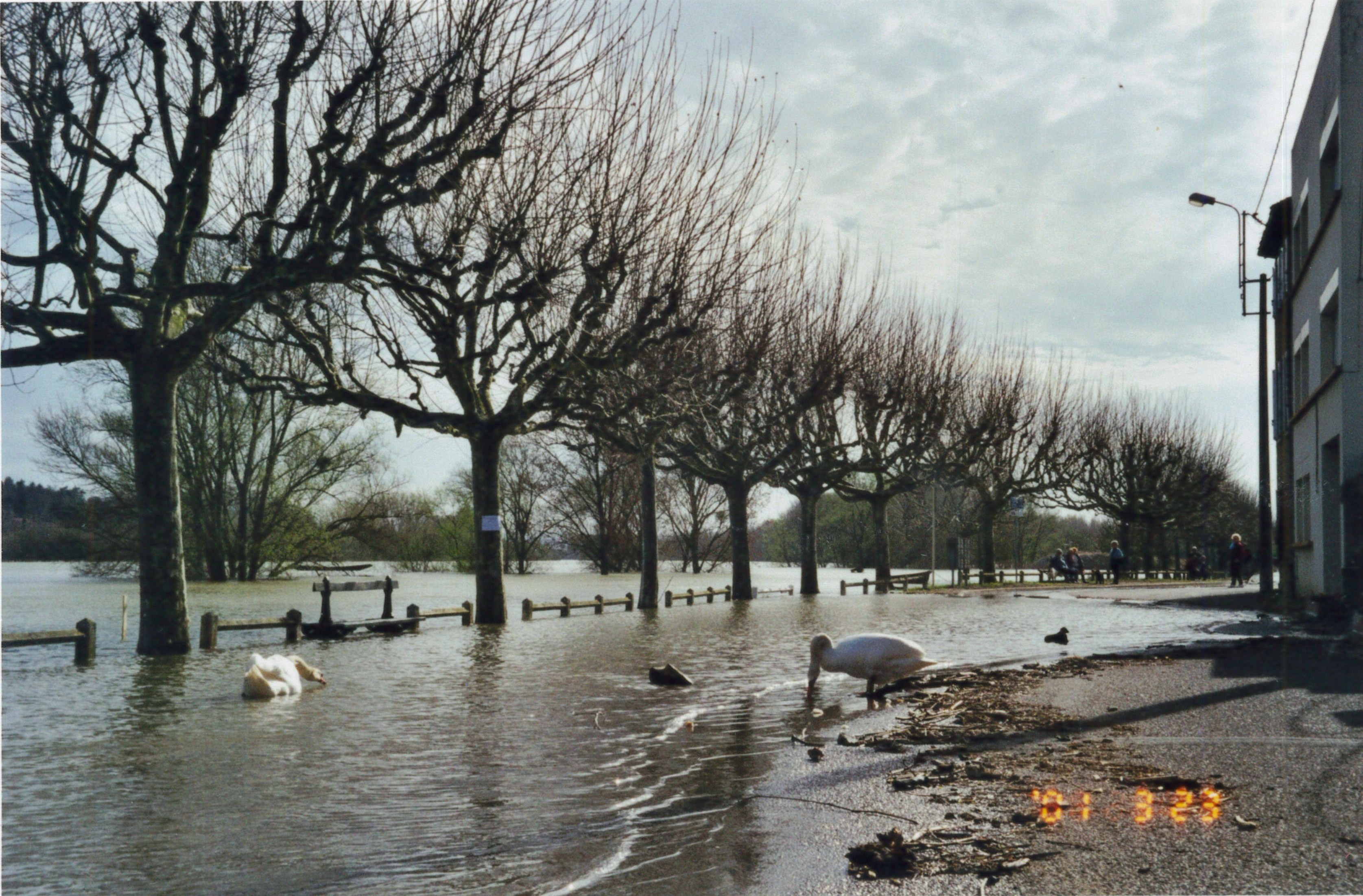 Crue de la Saône en 2001 à Belleville