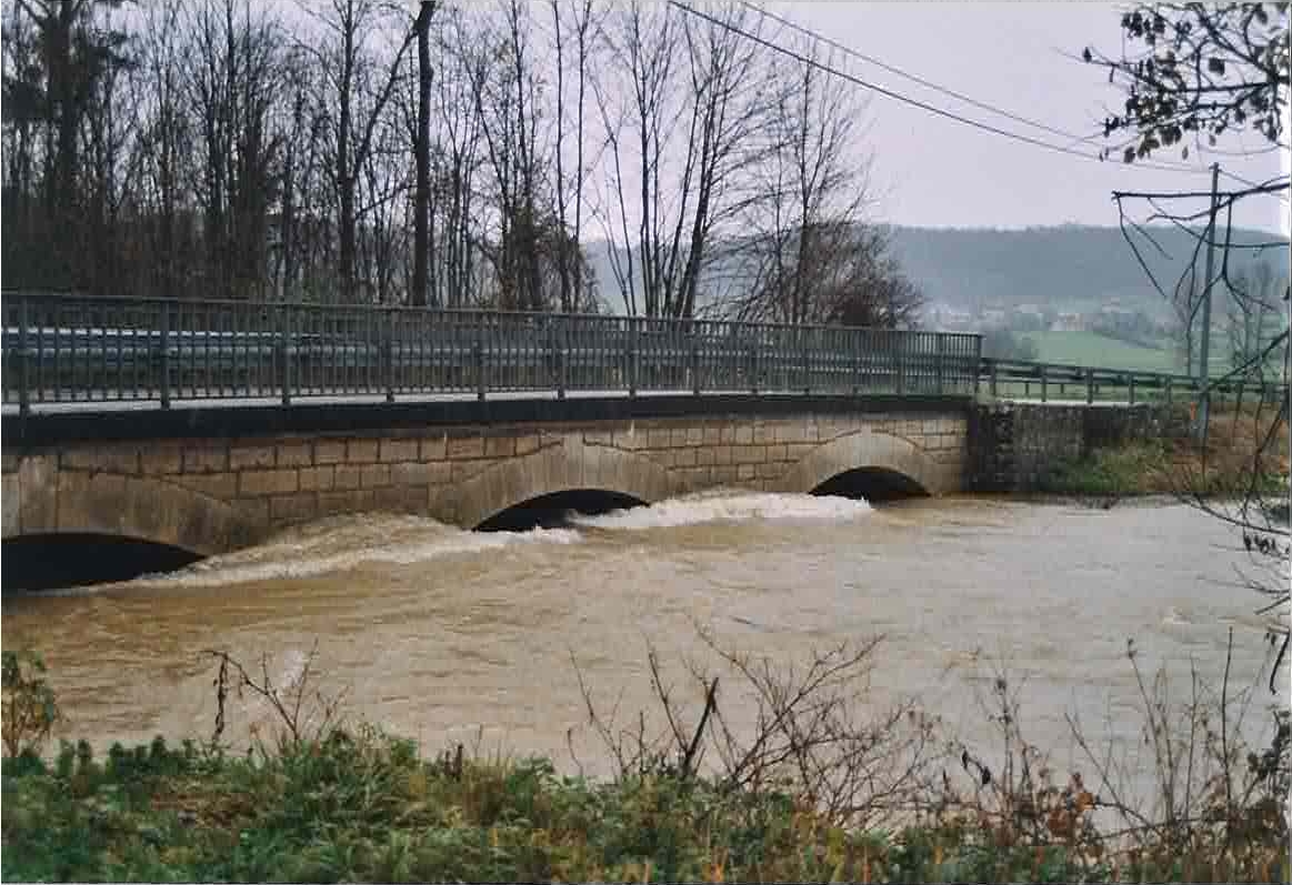 Crue de la Seille en 2002 à Domblans
